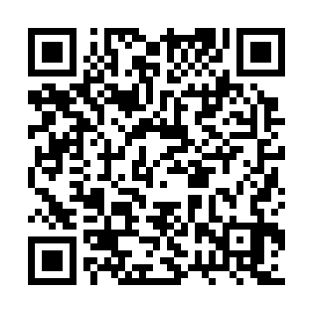 QR code for BRZ333