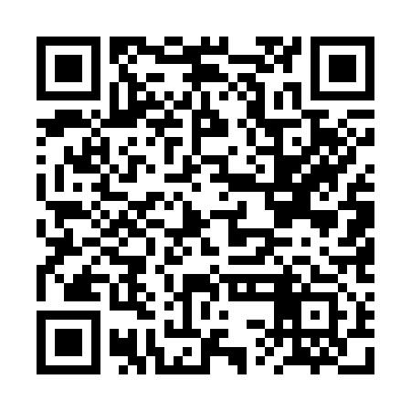 QR code for BSE313
