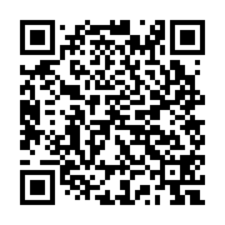 QR code for BSG318