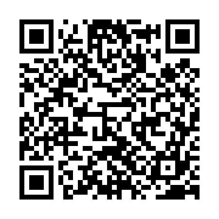 QR code for BSG477