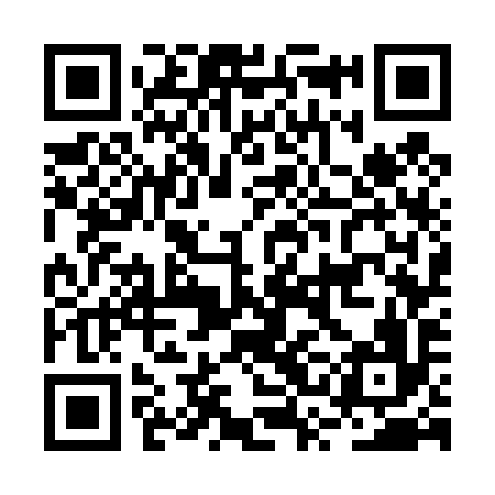 QR code for BSG496
