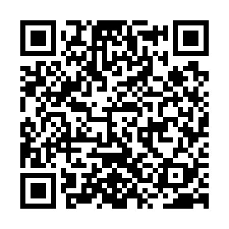 QR code for BSG729