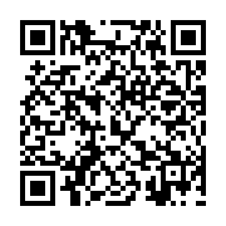 QR code for BSM381