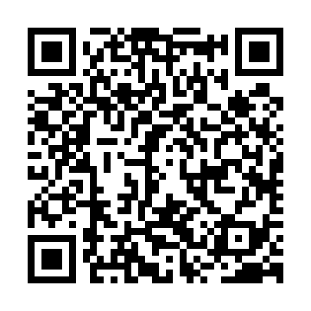 QR code for BSR539