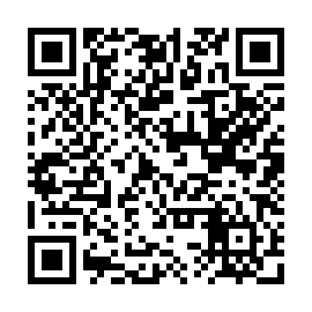 QR code for BSS384