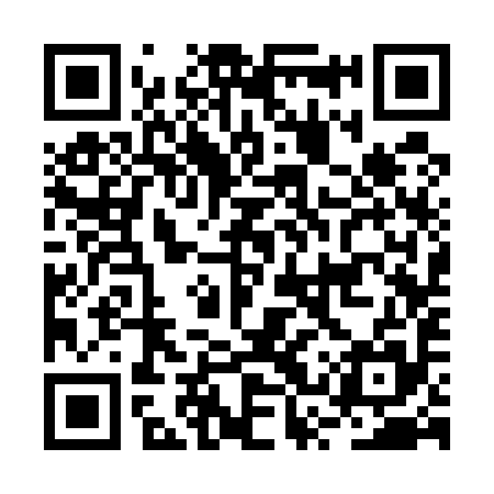 QR code for BSS595