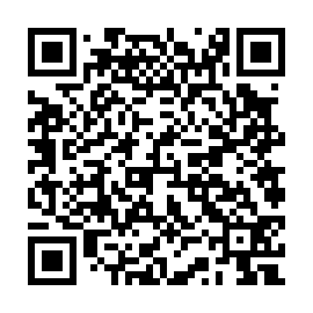QR code for BSV032