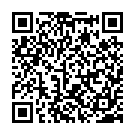 QR code for BSV217