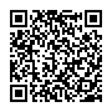 QR code for BSV318