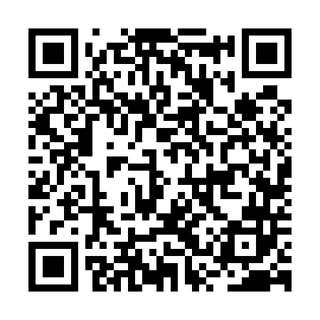 QR code for BSV542