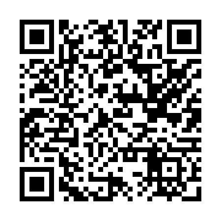 QR code for BSV863