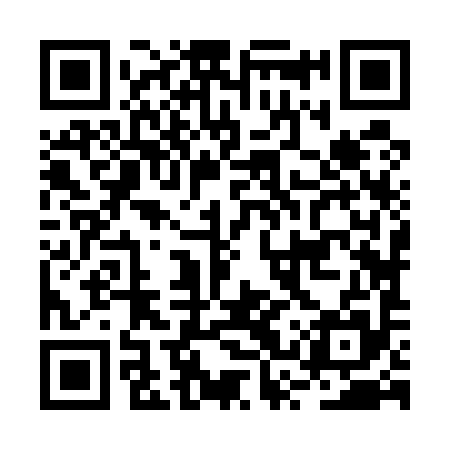 QR code for BSZ595