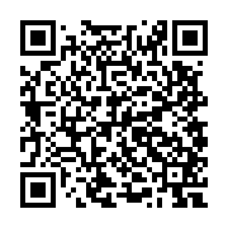 QR code for BTF541