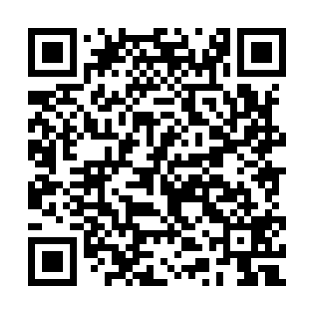 QR code for BTX919