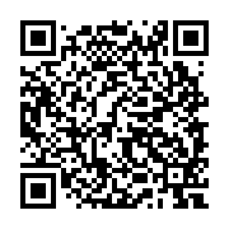 QR code for BUD393