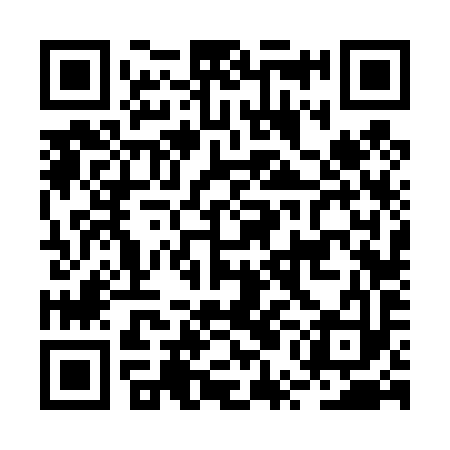 QR code for BUF493