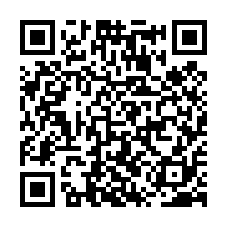 QR code for BUG410