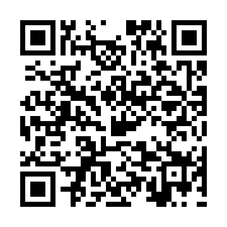 QR code for BUI379