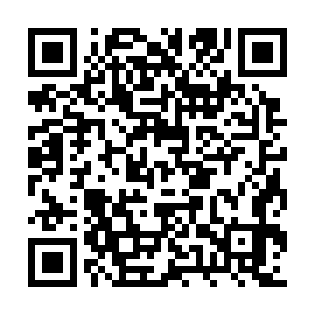 QR code for BUS373