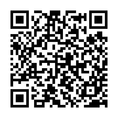 QR code for BUS687