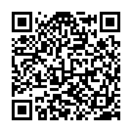 QR code for BVI333