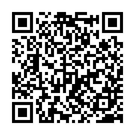 QR code for BVS382