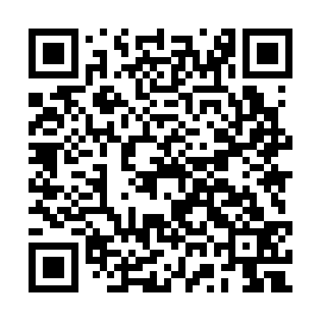 QR code for BWM333