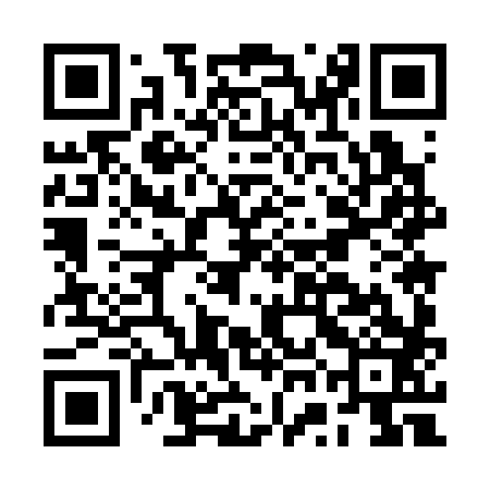 QR code for BWM383