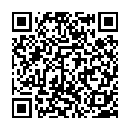 QR code for BWW271