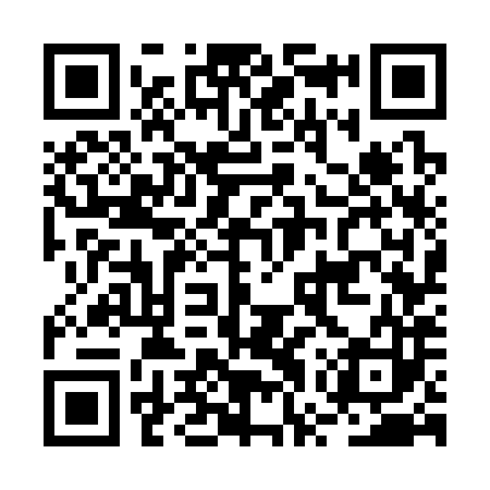 QR code for BWW383