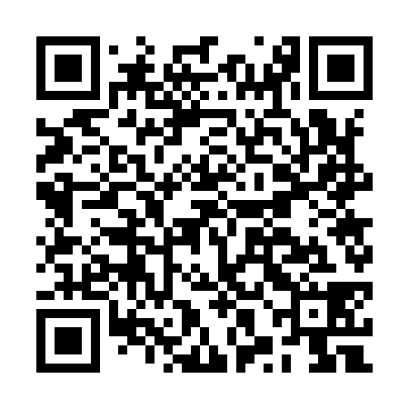 QR code for BXG938