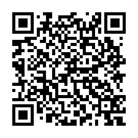 QR code for BXI336