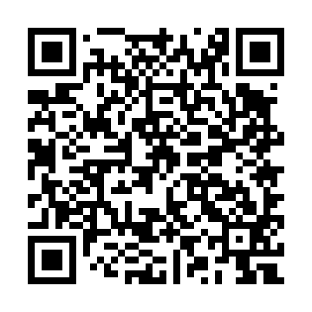 QR code for BYU493