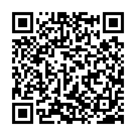QR code for BZD713