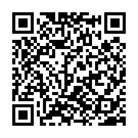 QR code for BZG538