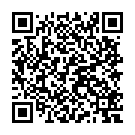 QR code for BZI509