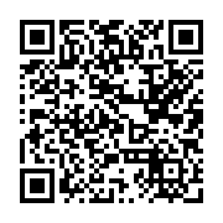 QR code for BZL381