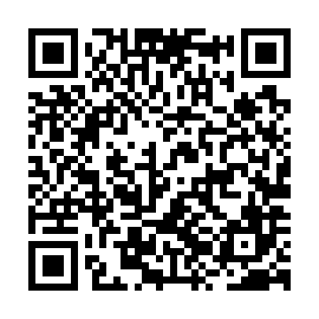 QR code for BZL786