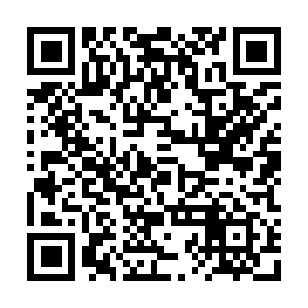 QR code for BZO919