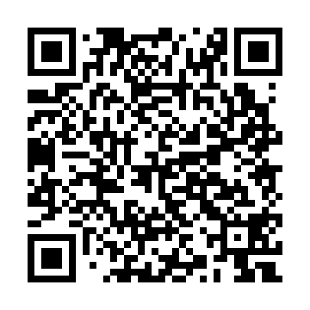 QR code for BZP318