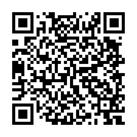QR code for BZP493
