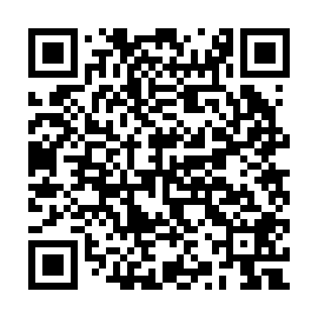 QR code for BZR208