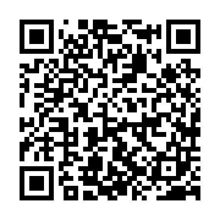 QR code for BZX203