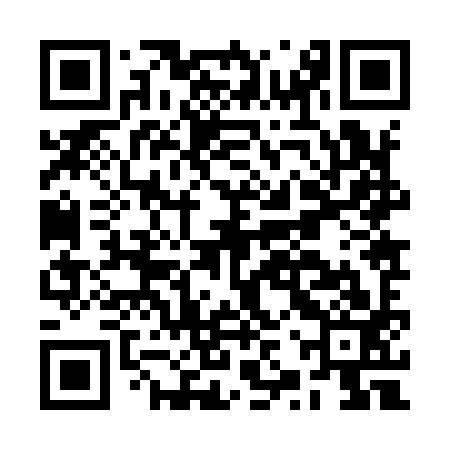 QR code for BZZ993