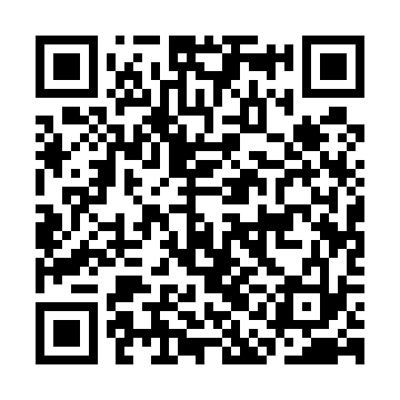 QR code for CAA533