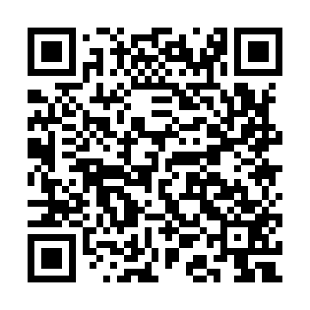QR code for CAA953