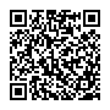 QR code for CAE446