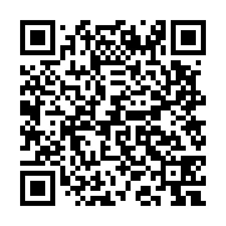 QR code for CAG538