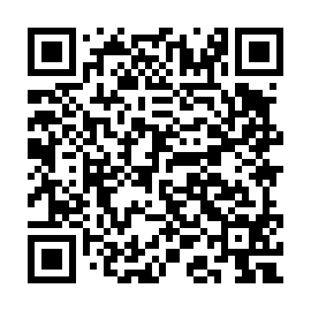 QR code for CAI494