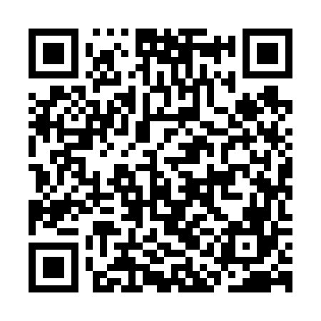 QR code for CAI666